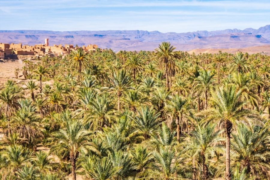 Marrakech – Zagora 2 days / 1 night Desert Tour & Camel Trek: